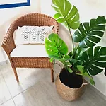 Atlantic Soul Apartament *